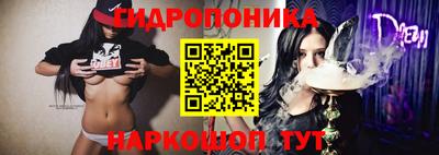 прущие грибы Гусев