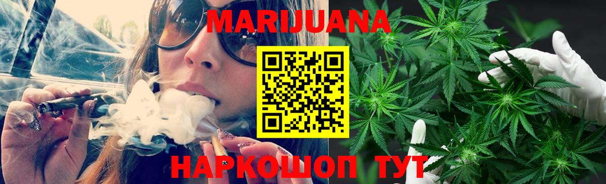 Бошки Шишки план  Каннабис планчик  Конопля OG Kush  Выкса  Вход с VPN 